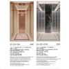 Picture of Light Luxury Car Elevator, Rose Gold/Metal Baked Enamel Ceiling, Etched Mirror Stainless Steel Wall