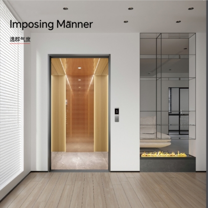Picture of Imposing Manner Series Modern Minimalist Elevator Car