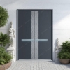 Picture of Dark Grey Metal Double Entrance Doors