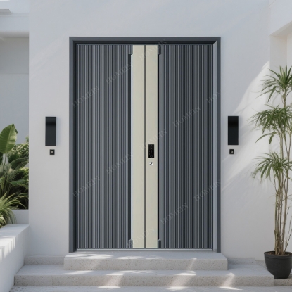 Picture of Dark Grey and Champagne Gold Bi-Color Metal Double Entrance Doors