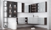 Picture of Modern UV Lacquer Custom Bathroom Vanity